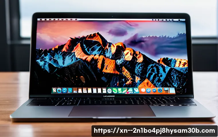 공릉동 운영체제 os 재설치 포맷  초기화 관련 이미지 1