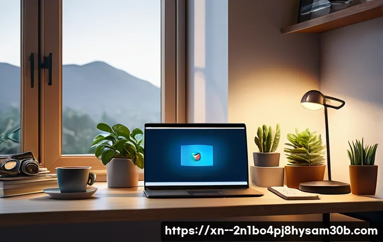 인헌동 VIDEO_MEMORY_MANAGEMENT_INTERNAL 관련 이미지 2