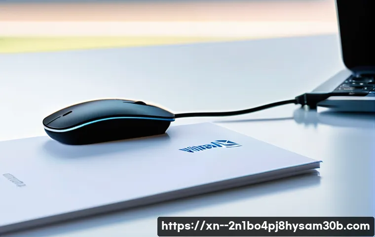 남현동 프리도스 윈도우설치 관련 이미지 1