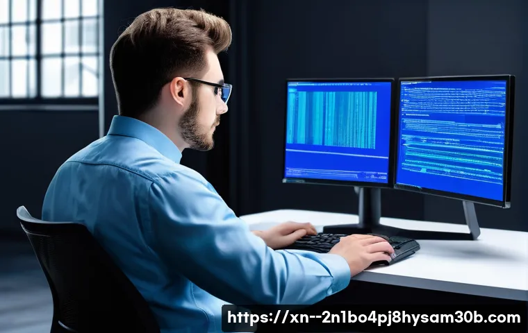 사간동 INVALID_KERNEL_HANDLE 관련 이미지 1