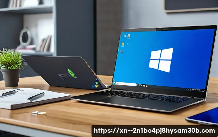 장항동 DRIVER_VERIFIER_DETECTED_VIOLATION 관련 이미지 2