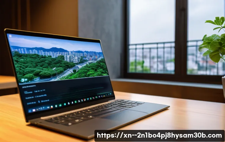 탄벌동 DRIVER_CAUSED_SYSTEM_CRASH 관련 이미지 2