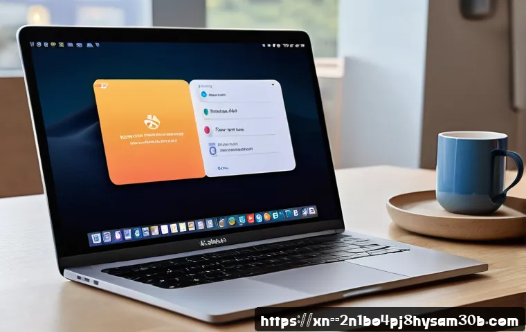 홍지동 macosX재설치 포맷  초기화 관련 이미지 2