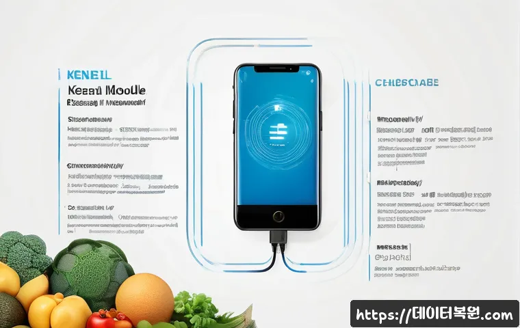 마포구 STATUS_KERNEL_MODULE_NOT_FOUND 관련 이미지 2