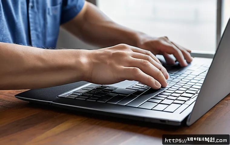 도척면 STATUS_KERNEL_EXECUTION_ERROR 관련 이미지 2