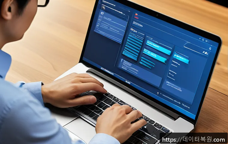 필운동 PROCESS_HAS_LOCKED_PAGES 관련 이미지 1