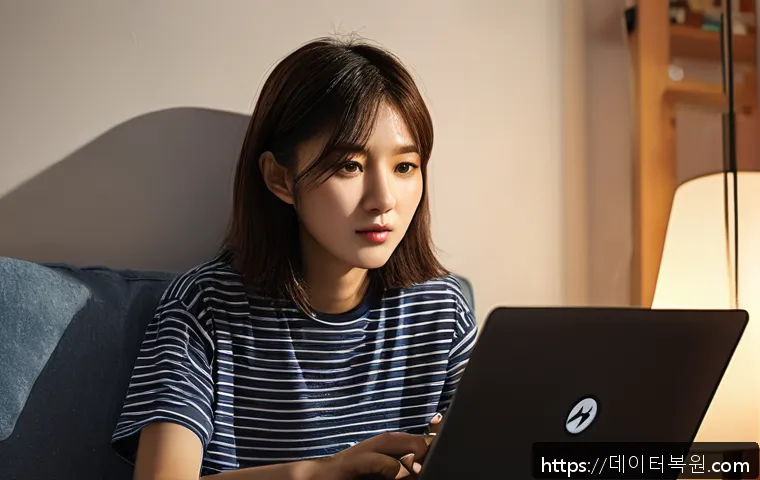 고척동 STATUS_STACK_BUFFER_OVERRUN 관련 이미지 2