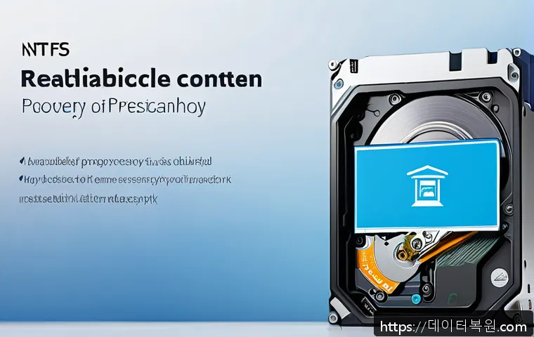 압구정동 NTFS_FILE_SYSTEM 관련 이미지 2