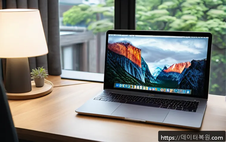 송파구 거여동 맥북 윈도우 듀얼부팅 설치 및 업무용 세팅 후기 1
