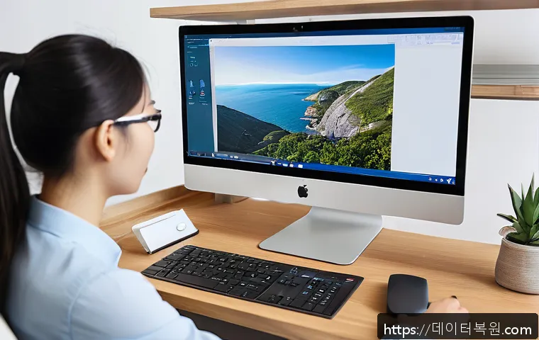 숭인동 STATUS_FILE_INVALID 관련 이미지 2
