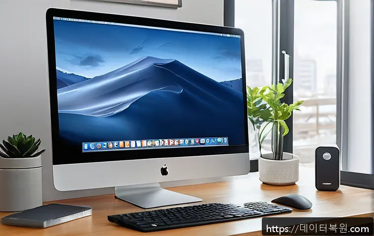 장항동 IT업체 아이맥 최적화 및 판매 서비스 실전 후기 1