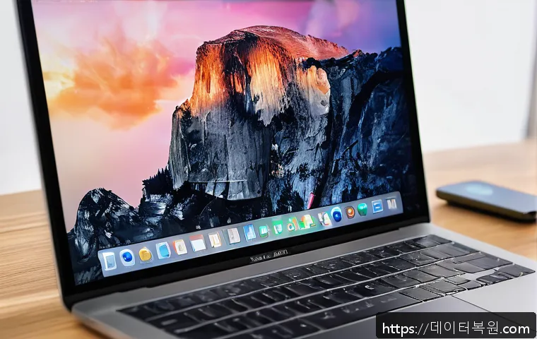 서교동 macosX재설치 포맷  초기화 관련 이미지 1