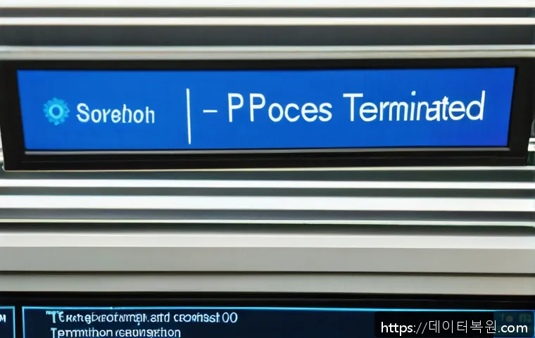 신도림 STATUS_SYSTEM_PROCESS_TERMINATED 관련 이미지 1