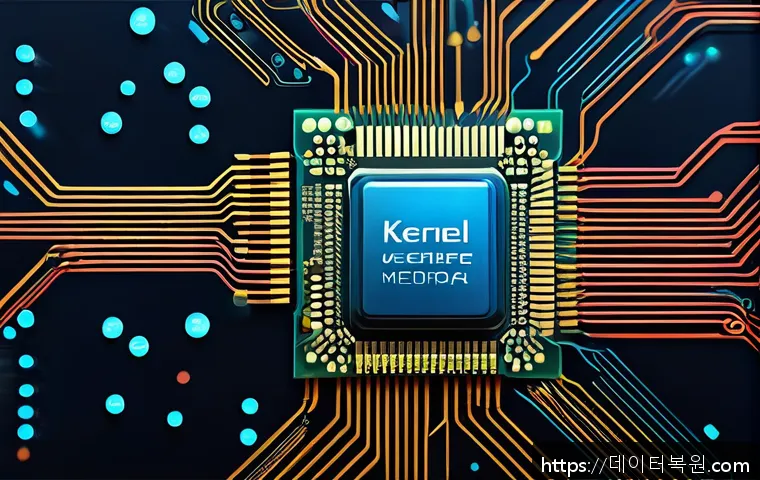 중곡동 STATUS_KERNEL_MEMORY_LEAK 관련 이미지 1