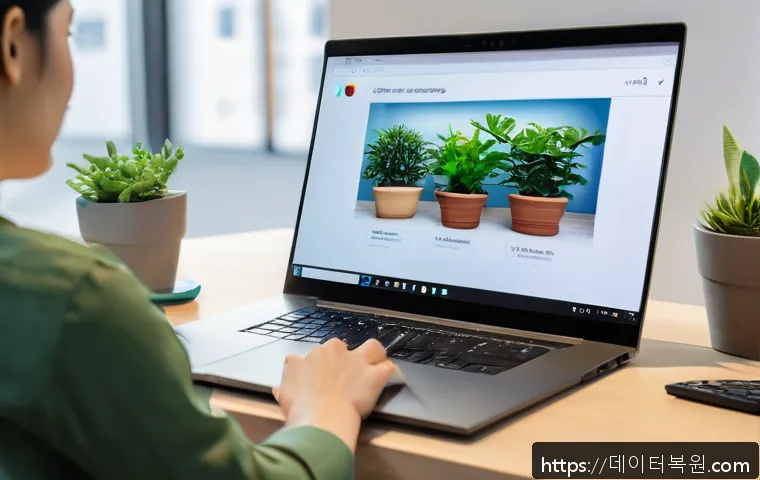 현천동 PROCESS_HAS_LOCKED_PAGES 관련 이미지 2