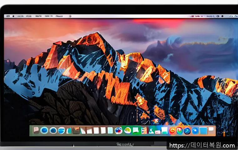 조원동 macosX재설치 포맷  초기화 관련 이미지 1