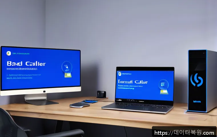 행촌동 BAD_POOL_CALLER 관련 이미지 1