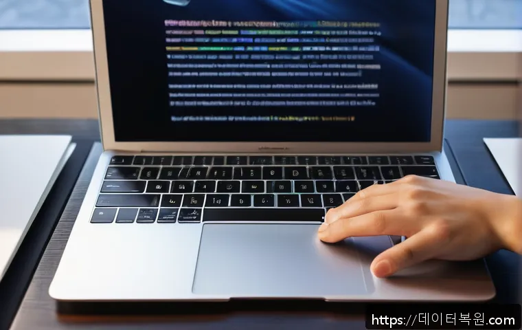 개화동 맥윈도우 부트캠프_bootcamp 재설치 포맷  초기화 관련 이미지 1