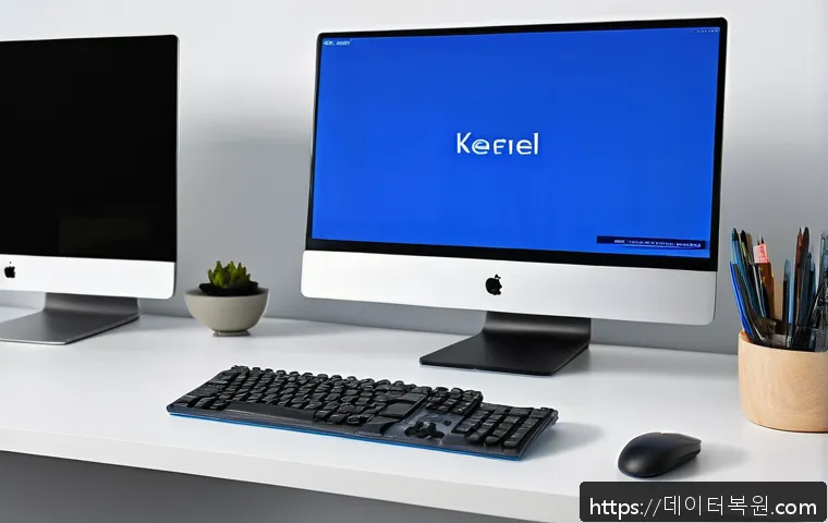 우장산 STATUS_KERNEL_DISK_ERROR 관련 이미지 1