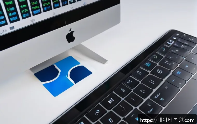 양화동 맥윈도우 부트캠프_bootcamp 재설치 포맷  초기화 관련 이미지 1