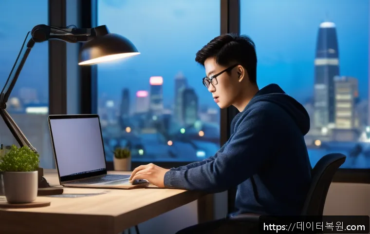 청운효자동 STATUS_FLOAT_OVERFLOW 관련 이미지 2