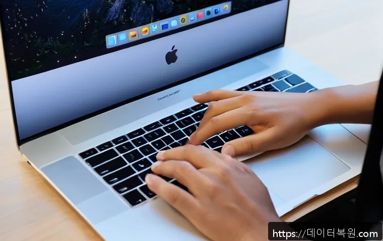 고척동 macosX재설치 포맷  초기화 관련 이미지 1