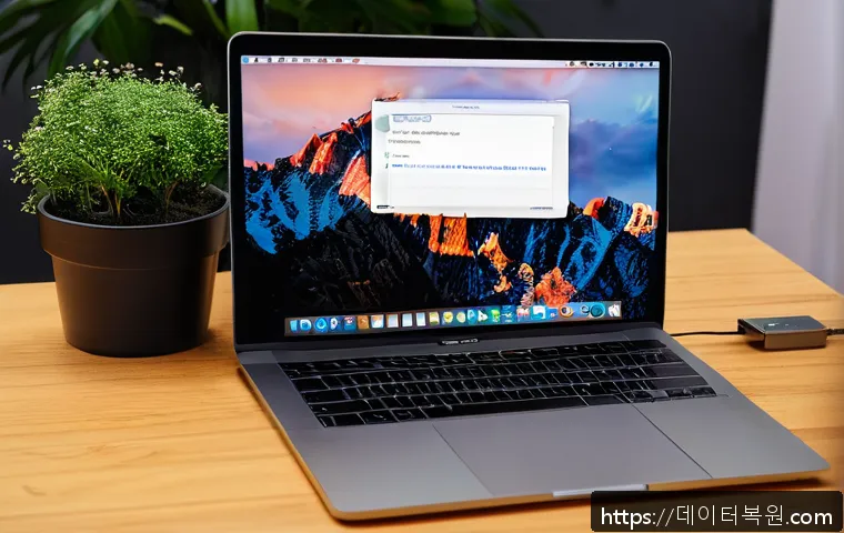 신영동 macosX재설치 포맷  초기화 관련 이미지 1