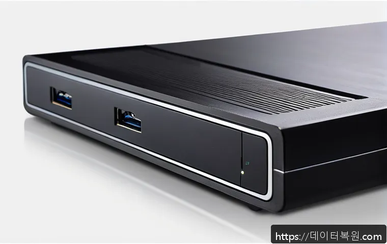 서초동 STATUS_DISK_CORRUPTION 관련 이미지 1