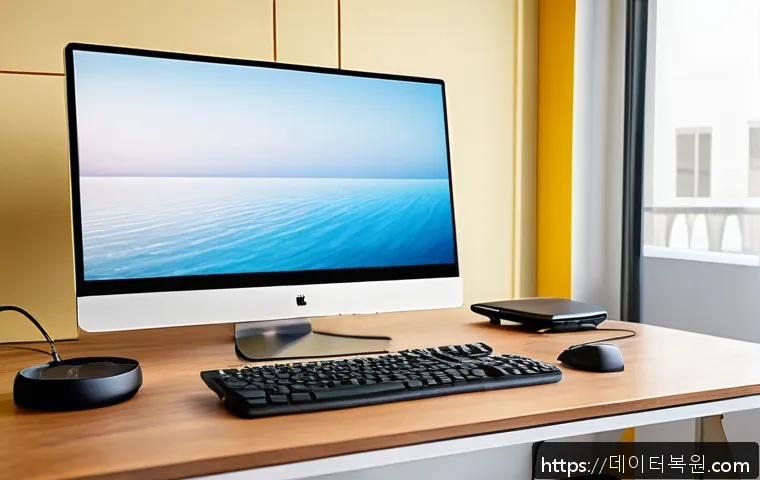 은평구 사무실 모니터 화면 문제 신속 해결 후기와 재택근무 환경 최적화 방법 1