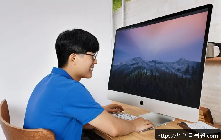 문원동 macosX재설치 포맷  초기화 관련 이미지 2