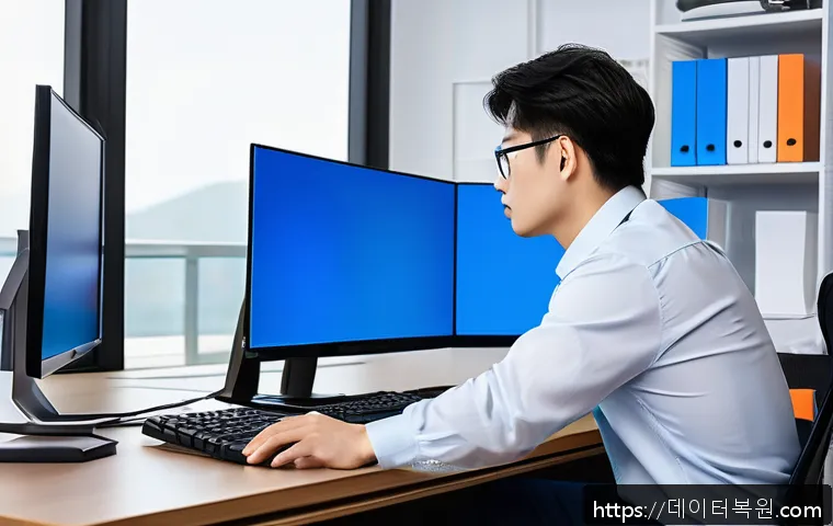 도림동 그래픽 오류 긴급 복구 사례와 블루스크린 문제 해결 노하우 17