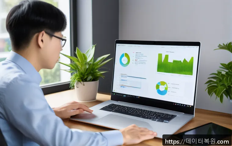 경운동 VIDEO_DRIVER_INIT_FAILURE 관련 이미지 1