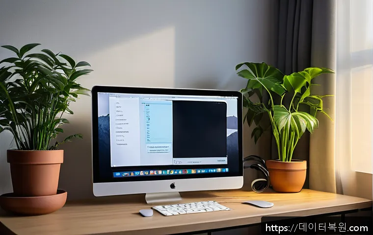 문정동 해킨토시 재설치 포맷  초기화 관련 이미지 2