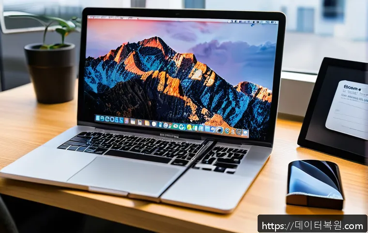 지영동 해킨토시 재설치 포맷  초기화 관련 이미지 1