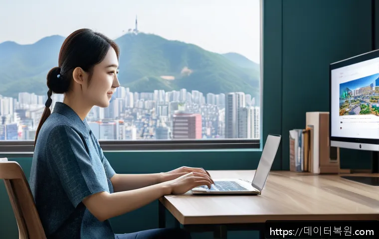 양천구 STATUS_MEMORY_OVERFLOW 관련 이미지 1