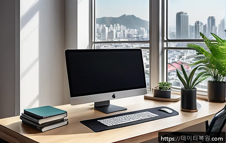 중랑구 메모리 접근 오류 긴급 복구 사례와 재택근무 환경 최적화 방법 안내 1