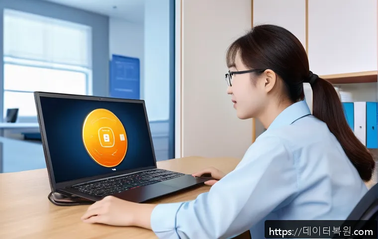 삼선동 STATUS_DISK_WRITE_FAILURE 관련 이미지 1