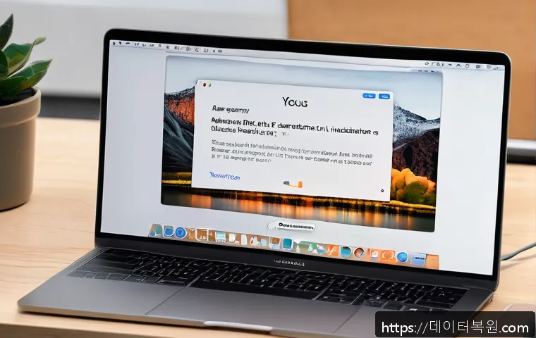 목동 macosX재설치 포맷  초기화 관련 이미지 1