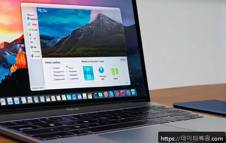 신영동 맥윈도우 부트캠프_bootcamp 재설치 포맷  초기화 관련 이미지 1