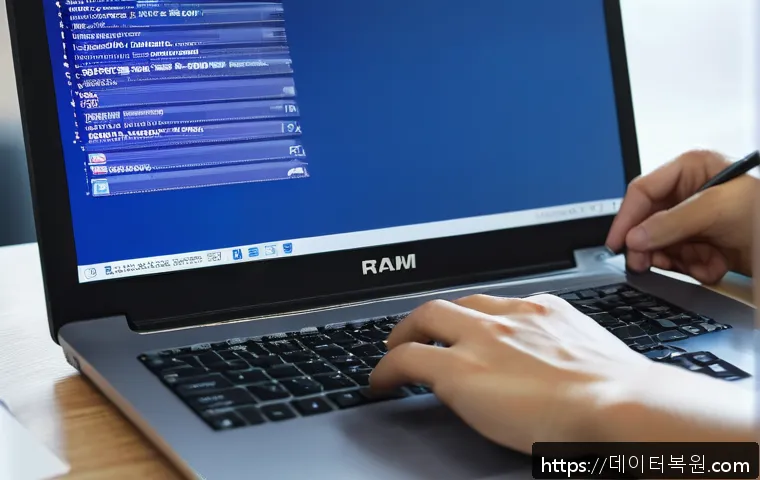 도척면 STATUS_KERNEL_DISK_ERROR 관련 이미지 1