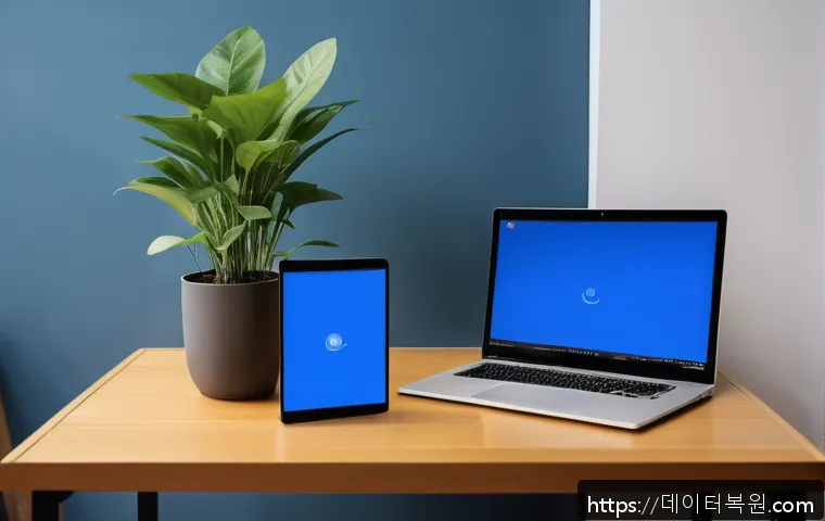 개포동 SESSION3_INITIALIZATION_FAILED 관련 이미지 1