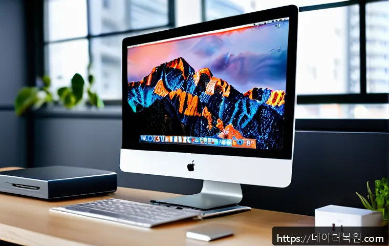 남산동 사무실 MacOS 초기화와 재설치 완벽 가이드 및 현장 서비스 후기 1