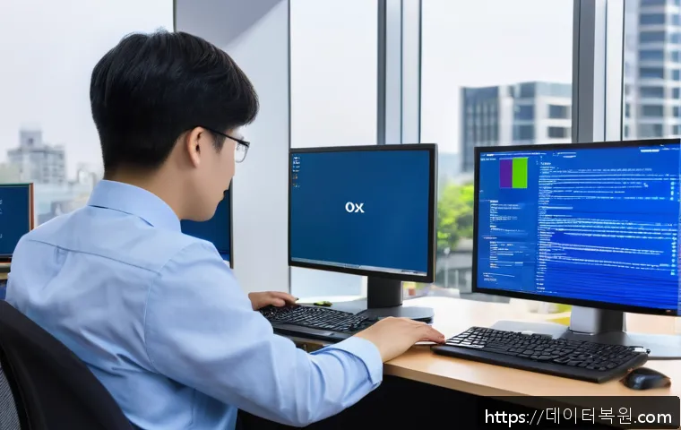 과천시 KERNEL_SECURITY_CHECK_FAILURE 관련 이미지 1