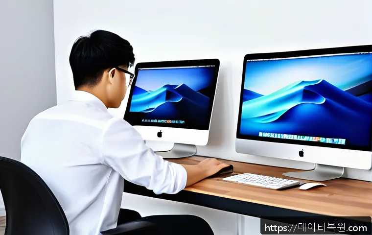 마포구 맞춤형 맥OS 초기화 및 재설치 서비스 이용 후기와 실속 팁 안내 1