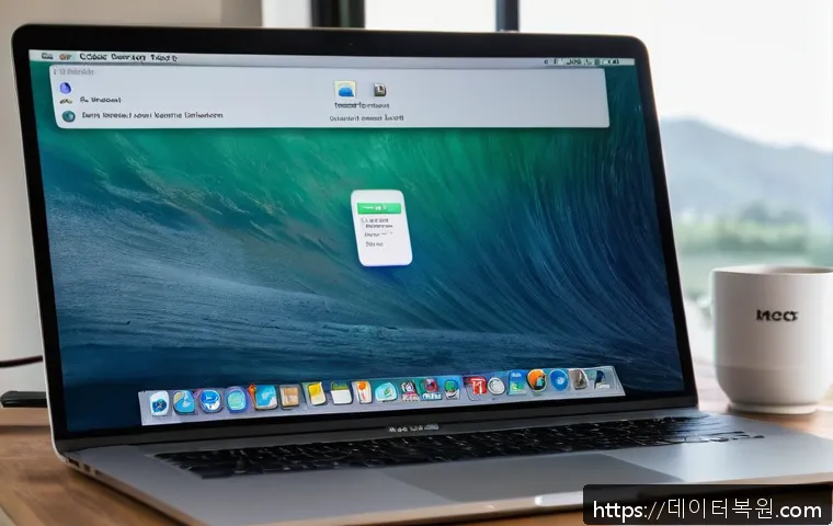 상계동 맥윈도우 부트캠프_bootcamp 재설치 포맷  초기화 관련 이미지 1