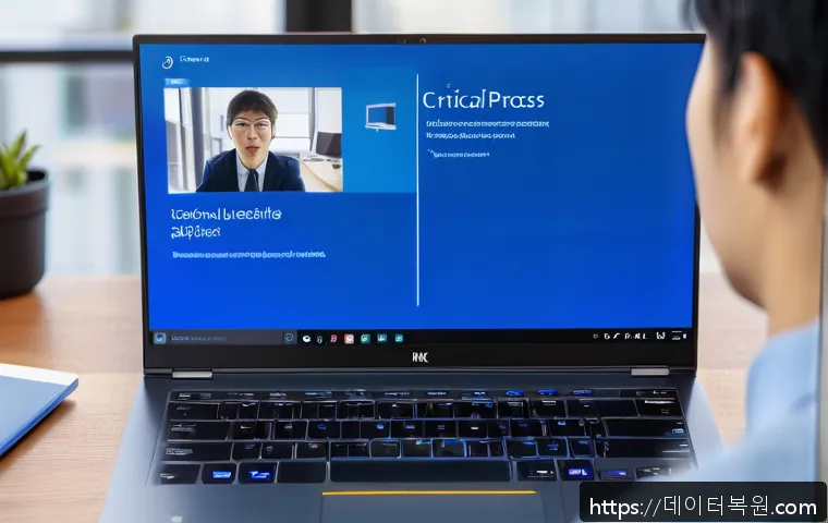 대화동 CRITICAL_PROCESS_DIED 관련 이미지 1