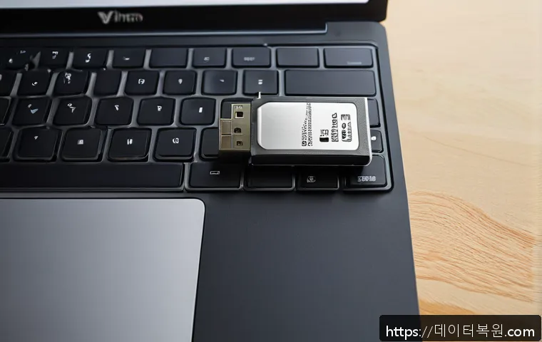 신내동 USB 저장장치 FAT32 파일 시스템 오류 긴급 복구 후기 1