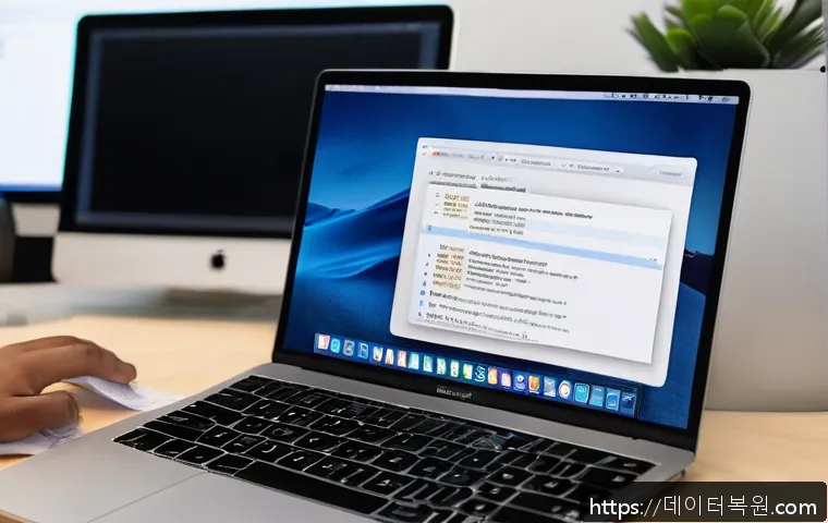 미근동 맥윈도우 부트캠프_bootcamp 재설치 포맷  초기화 관련 이미지 1