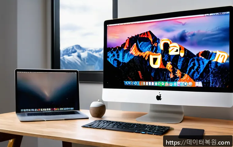 개포동 부트캠프 윈도우 재설치와 맥 초기화 서비스 이용후기 및 신속 복구 방법 안내 1