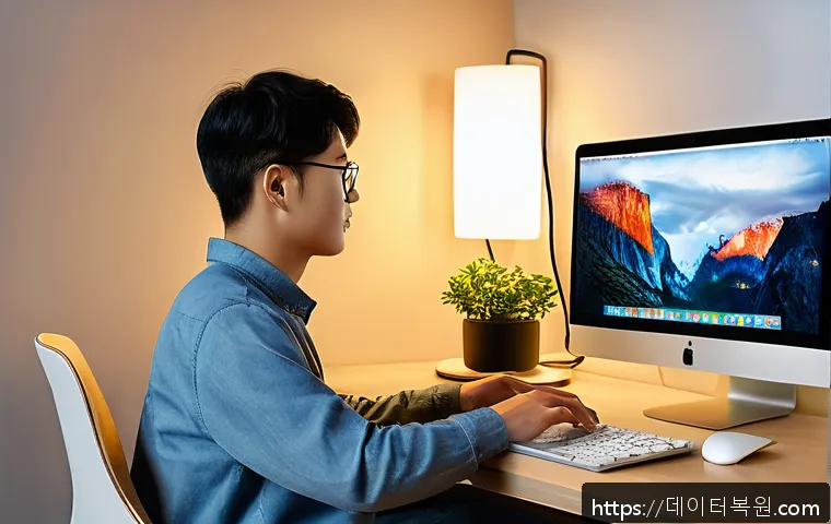 중계동 macosX재설치 포맷  초기화 관련 이미지 2